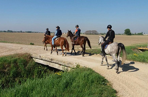 A cavallo